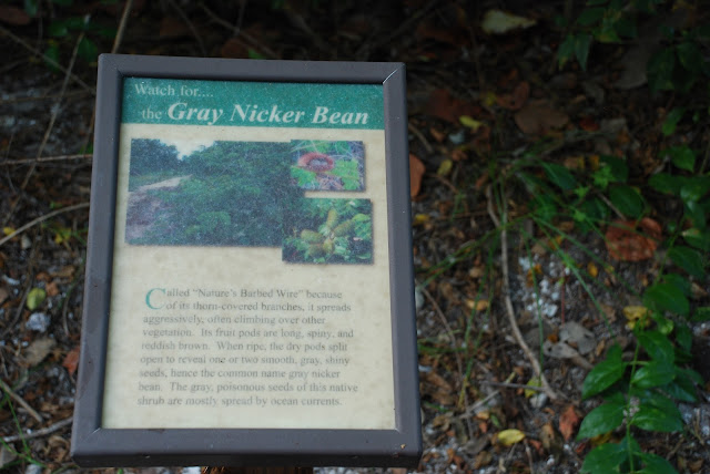 Lovers Key State Park
