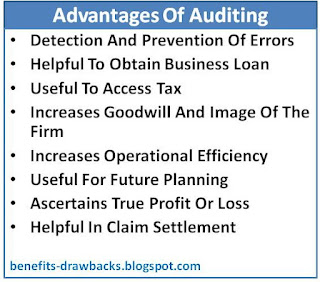 advantages of auditing