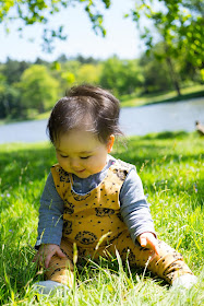 poppy and jazz dandelion dungarees