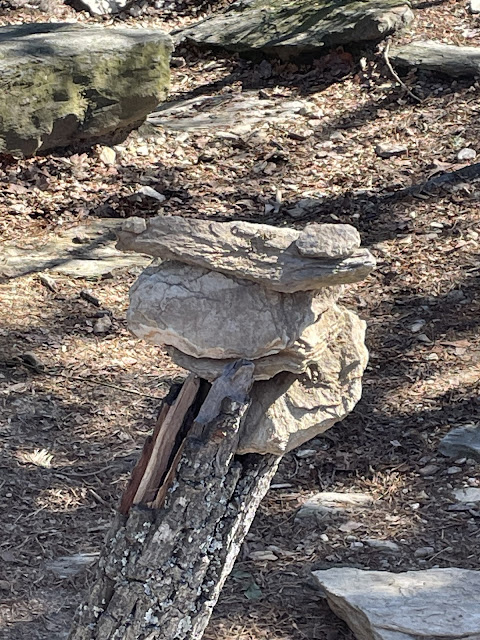 A stack of rocks put there by passing hikers sitting on top of a dead limb of an old tree.