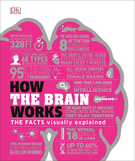 How the Brain Works - The Facts Visually Explained