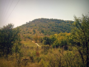 Pretoria-20120421-00334