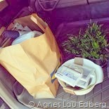 IMG_20140313_132412