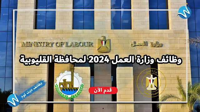 وظائف وزارة العمل 2024 النشرة القومية للتشغيل لمحافظة القليوبية 200 وظيفة