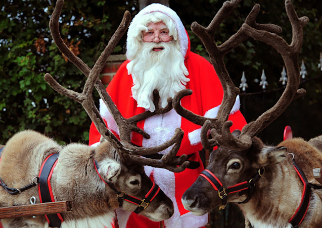 Two live reindeer in fancy harnesses flank an actor dressed as Santa Claus, in the traditional red-and-white suit, with a long white beard.