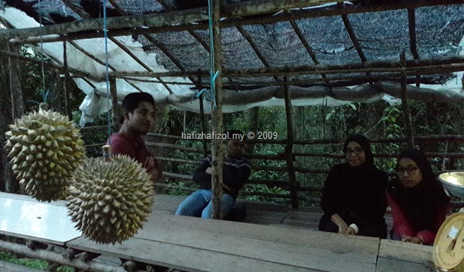 buah durian sodap