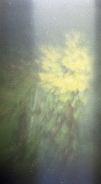 Luciferdoosje-pinhole, foto: Robert van der Kroft