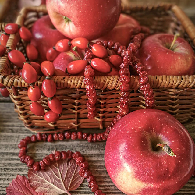 cottagelife, cottagelifestyle, cozy, cottagecore, cottagegarden, vintagestyle, vintagetreasures, mycozyhome, vintagesoul, liveauthentic, livefolk