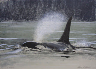 Fluid Power – Orca, 1991