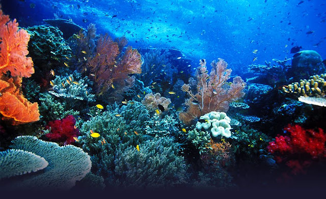 Beautiful Wayag Islands, Raja Ampat, Papua