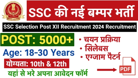 SSC Selection Post Phase 12 Recruitment 2024 Apply online