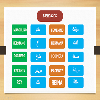 تمارين على استخدامات المذكر والمؤنث