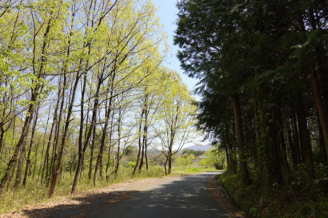 鳥取県道52号岸本江府線へ向かいます