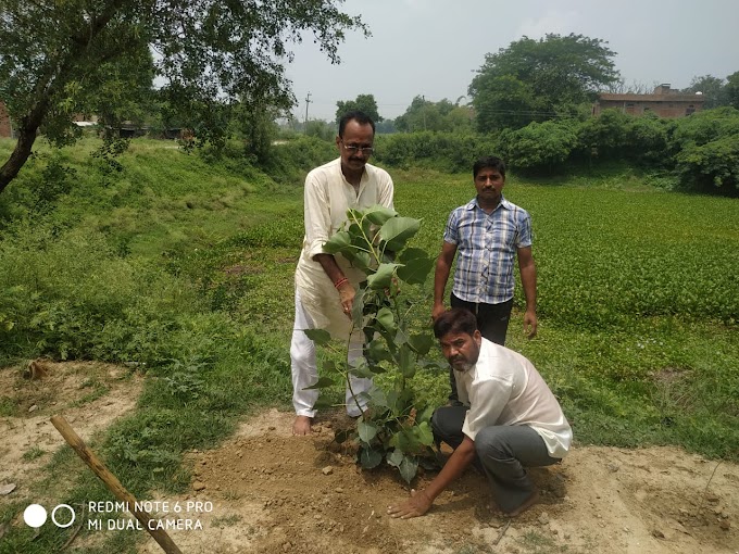 रक्षामंत्री राजनाथ सिंह के जन्मदिवस पर भाजपाइयों ने पौधरोपण कर दिया पर्यावरण का  सन्देश