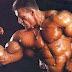 How To Build Muscles With BodyBuilding Exercise
