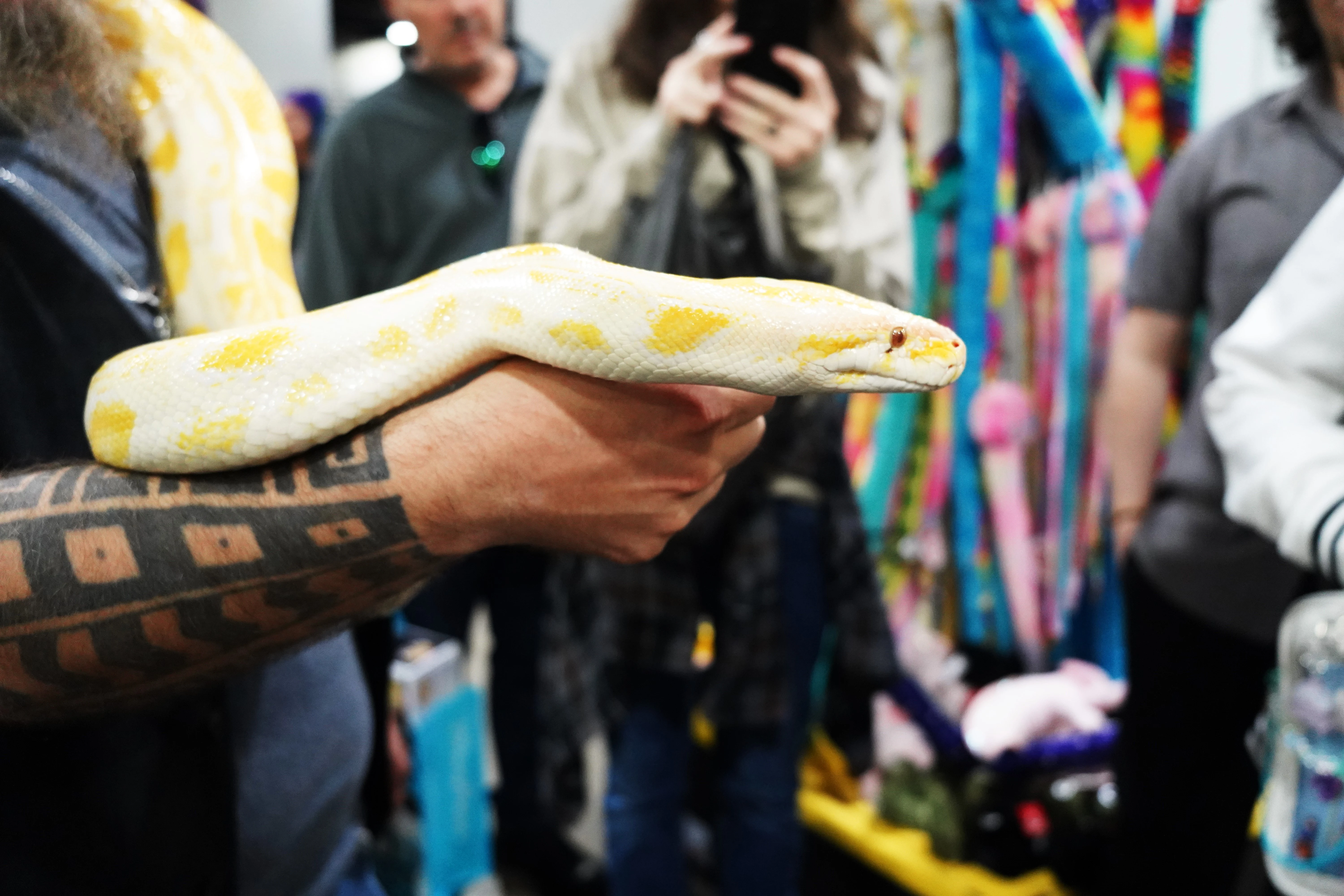 Big Yellow Snake at ATL Comic Convention