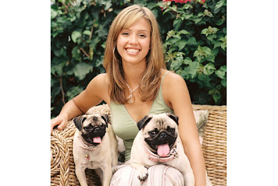 Top 10 Most Famous Celebrity Dogs Jessica Alba – Sid and Nancy