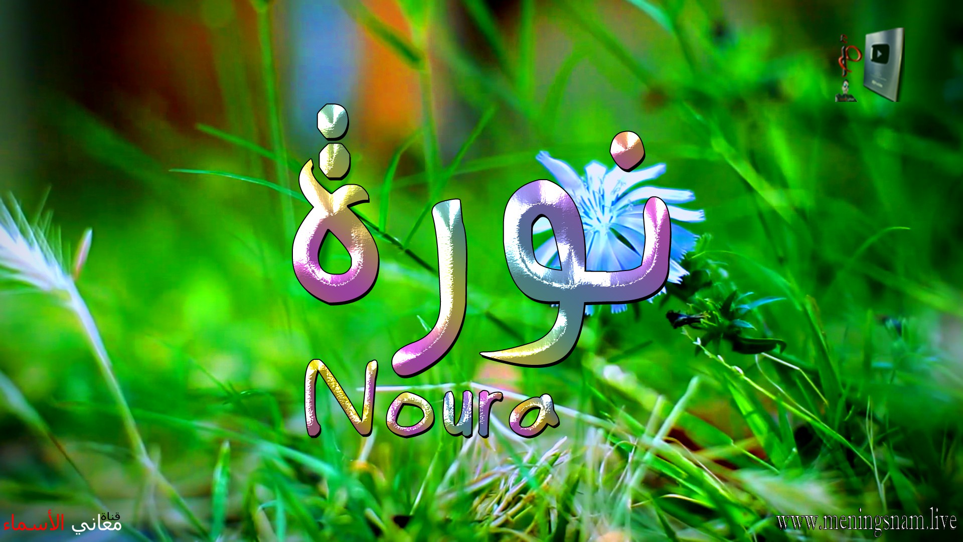 معنى اسم, نورة, وصفات, حاملة, هذا الاسم, Noura,