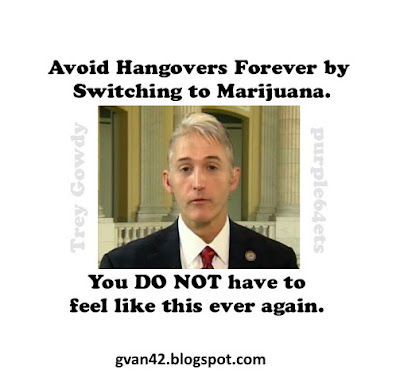 avoid-hangovers-forever-by-switching-to-marijuana-Trey-Gowdy-purple64ets gvan42