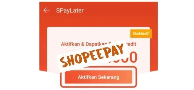 ShopeePay