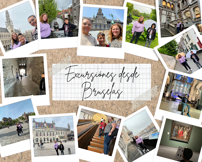Excursiones de un día desde Bruselas