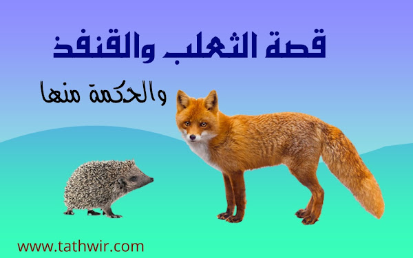 قصة الثعلب والقنفذ