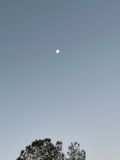 Moon over Matthews, NC Dec 31, 2023 7:19AM