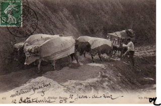 pays basque autrefois attelage sable boeufs