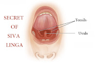 Siva Linga By Swami Sivananda Parama Hamsa, Founder of Siddha Samaj