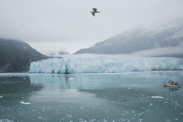 Glacier Bay National Park