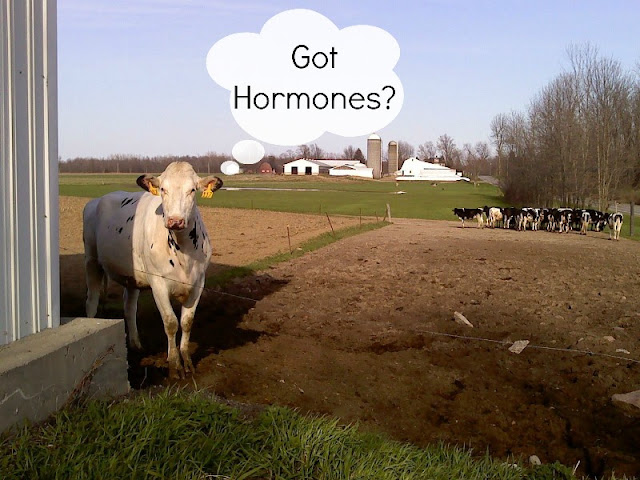 Got-Hormones