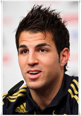 cesc fabregas picture