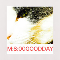 ねこブログランキング