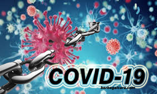 Cara Efektif Memutus Rantai Penyebaran Virus Corona (COVID-19)