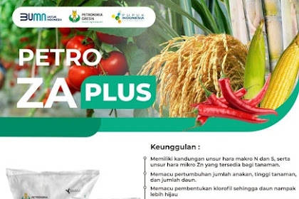 DAFTAR HARGA PUPUK PETRO KIMIA GRESIK GROUP
