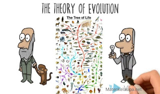 Contoh soal teori evolusi dan implikasi beserta pembahasannya