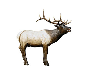 3d Elk Target1