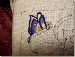 butterfly_1