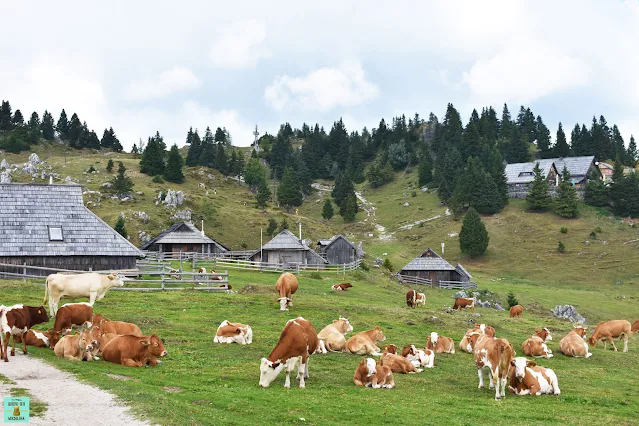 Mala Planina, Eslovenia