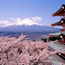 Berkaca melihat Pendidikan di Negeri Sakura; 20 Fakta Sekolah di Jepang 