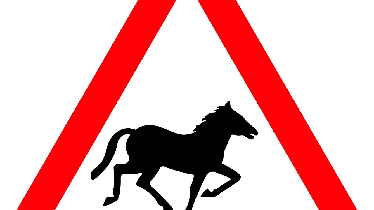 Horse Safety Signs