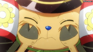 ワンピースアニメ 1023話 チョッパー かわいい Tony Tony Chopper | ONE PIECE Episode 1023