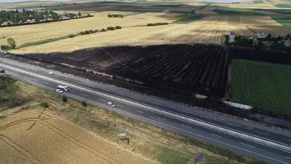 Trakya'da toplam 102 bin 700 metrekare tarım alanı yandı yazık değilmi 1 YIL bekliyor kül oluyor