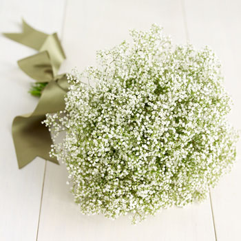 What are the cheapest weddings flowers