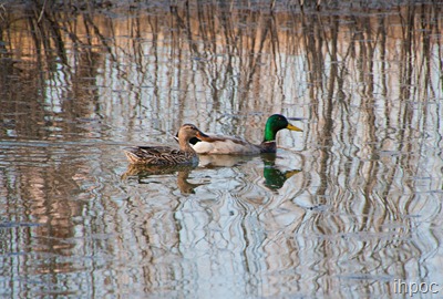 IMG_1268