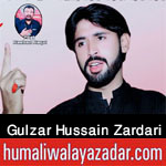 https://aliwalayazadar.blogspot.com/2020/08/gulzar-zardari-nohay-2021.html