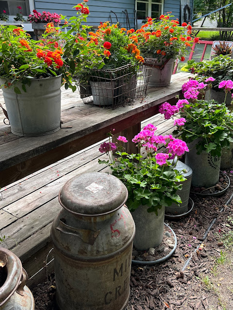 Photo of junky decor & planters along the deck.