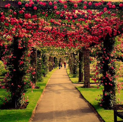 Beautiful Garden. image here