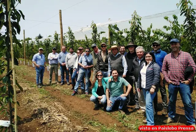 12ª reunión del GTT Cerezas del Sur