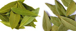 Bay leaf, Tej Patta Spice name in different Indian languages (regional)